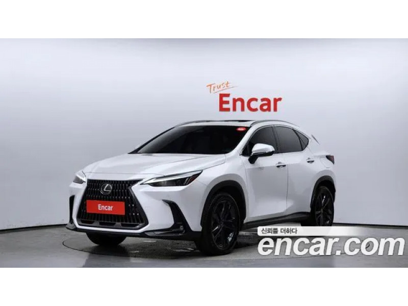 Lexus Nx 2024 г.