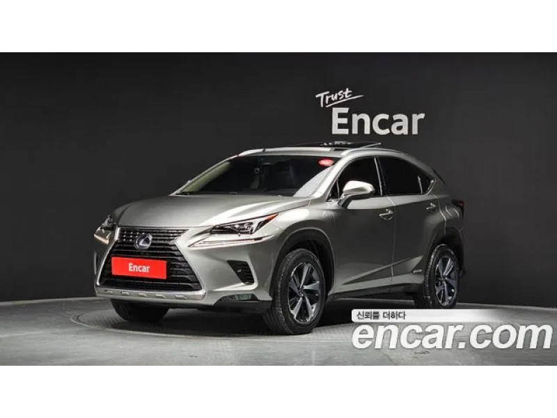 Lexus Nx 2020 г.