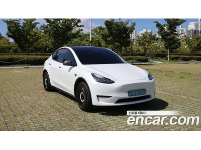 Tesla Model Y 2021 г.